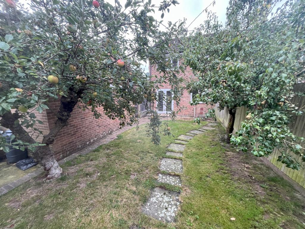 Rear garden towards house