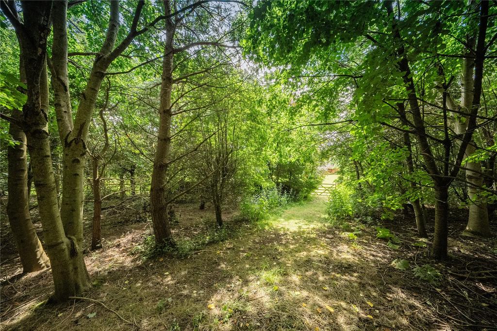 Woodlands