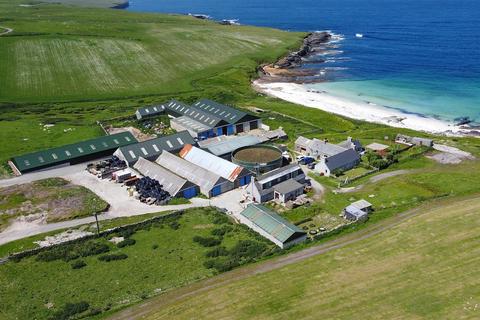 Farm for sale, Noup Farm, Westray, Orkney