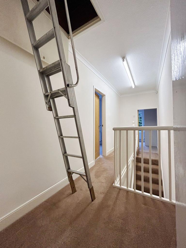 Pull down ladder