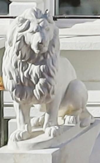 Lion.jpg