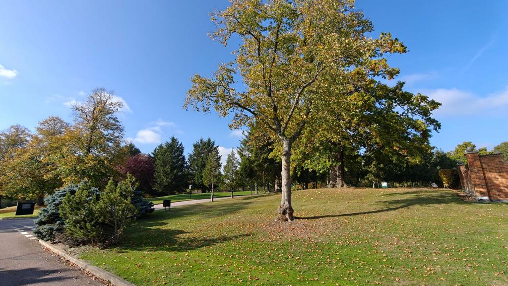 Photograph 34
