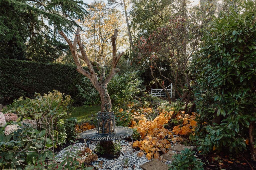 186954 - Gordon-Avenue-Highres-118.jpg