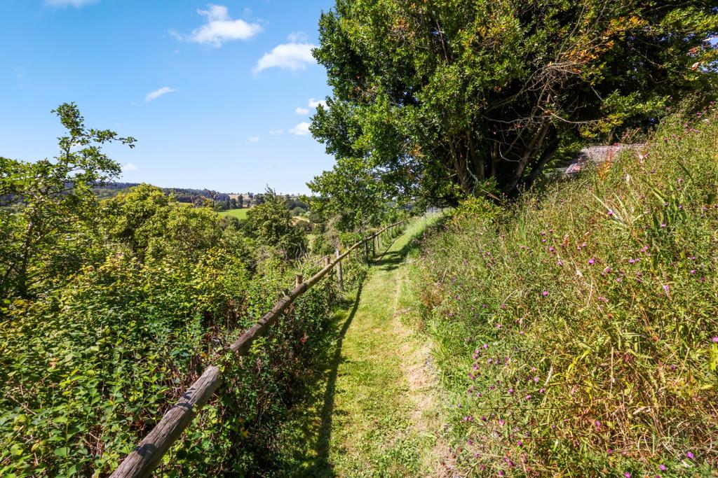 Private Walk Path