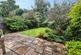 Rear Garden 1.jpg