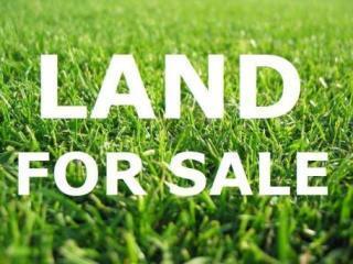 Land for sale.jpg