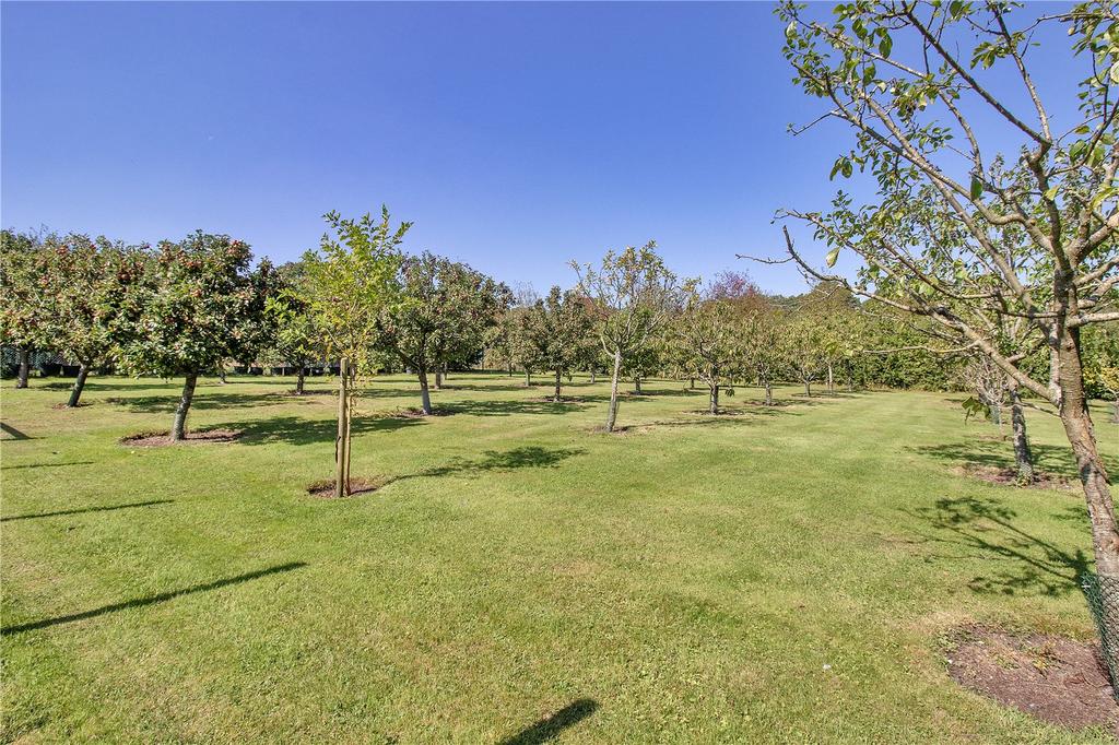 Orchard