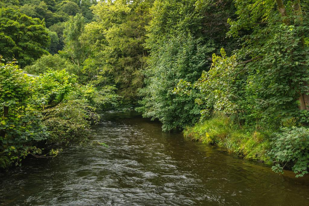 River Rothay