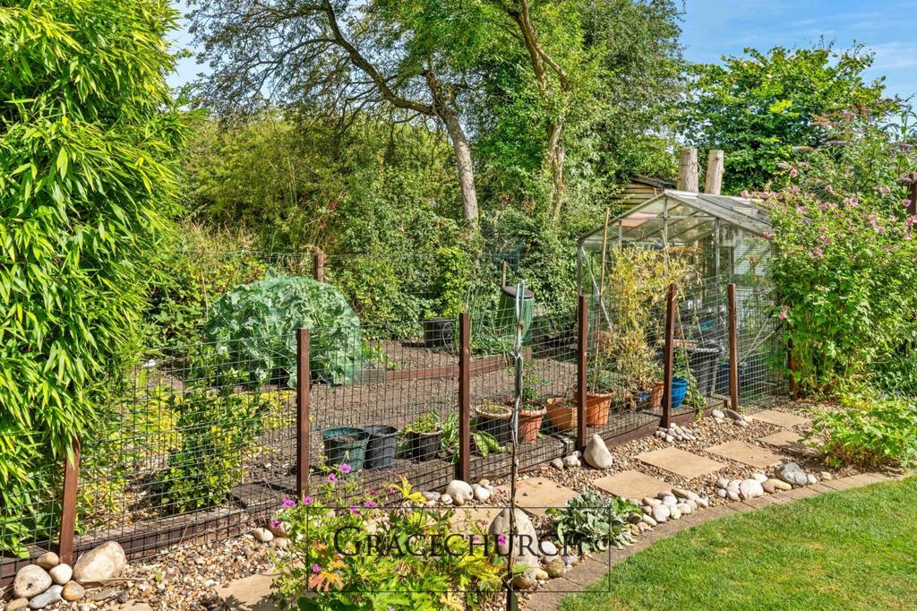 Greenhouse and veg plot