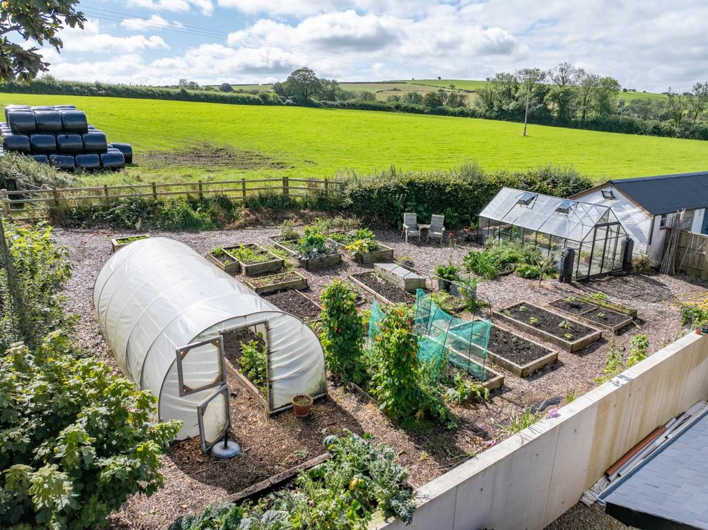 Vegetable patch