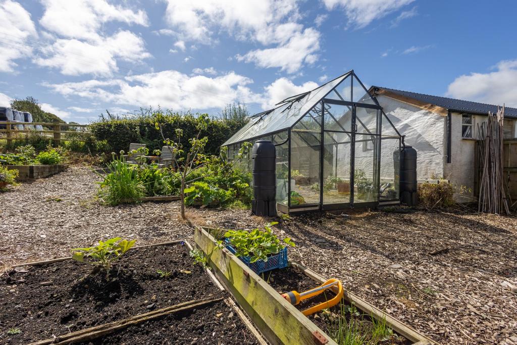 Vegetable patch