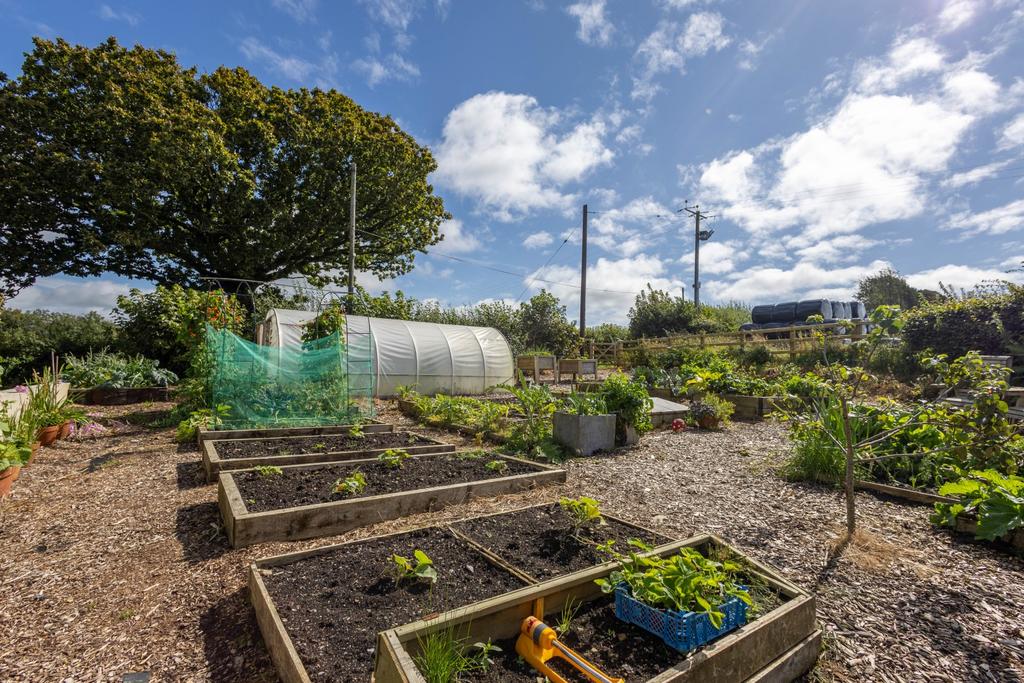 Vegetable patch