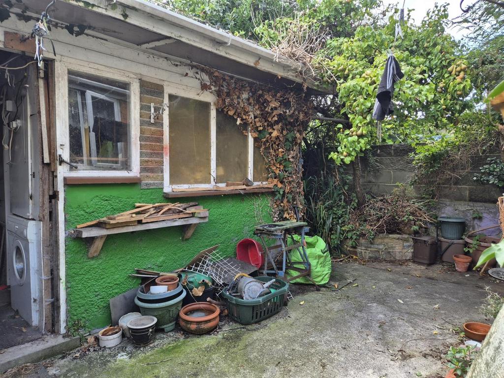 20240830 143658 resized.jpg