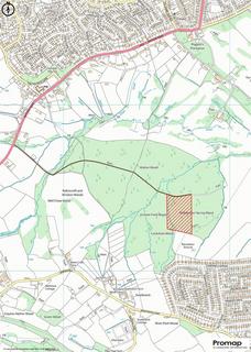 Land for sale, Woodland at Waltons Wood, Walton