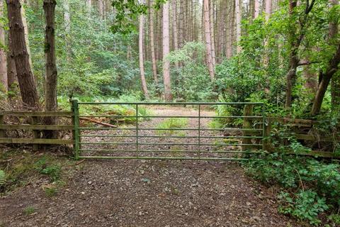 Land for sale, Woodland at Waltons Wood, Walton