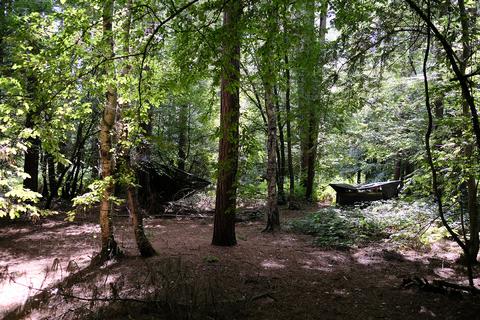 Woodland for sale, Biddenden Road, Biddenden TN27