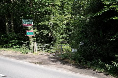 Woodland for sale, Biddenden Road, Biddenden TN27