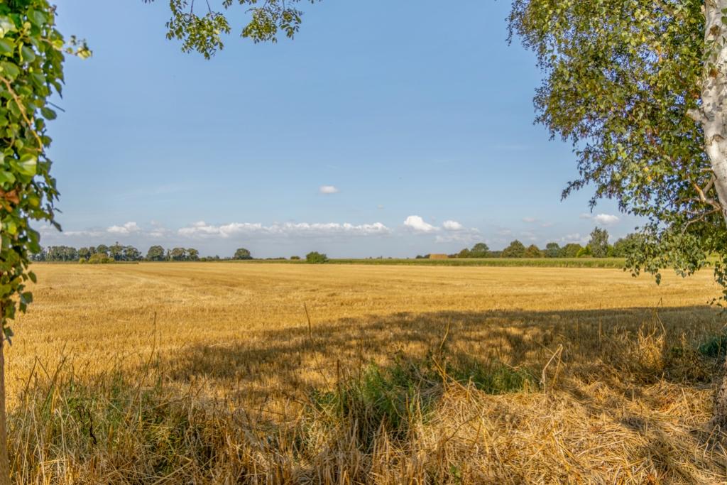 Strawberry Cottage (Whaplode St Catherines)-15