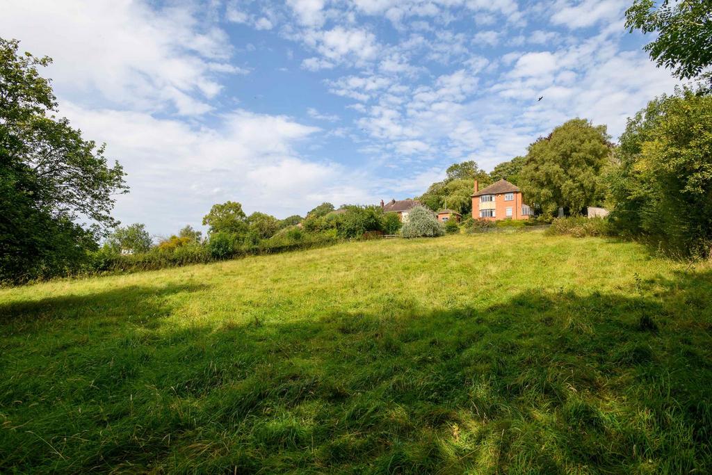 Garden view, garden