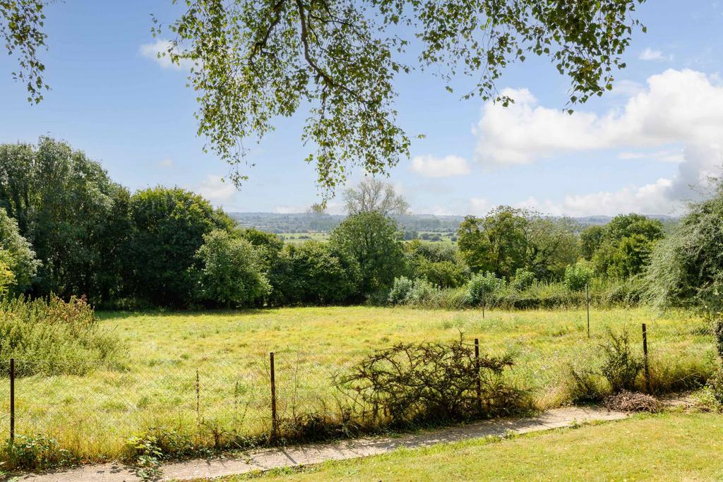 Garden view, garden