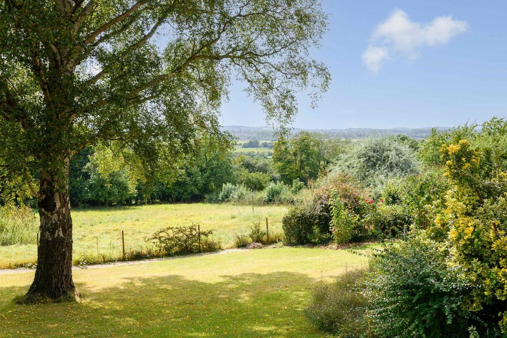 Garden view, garden