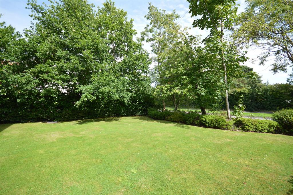 Communal Grounds