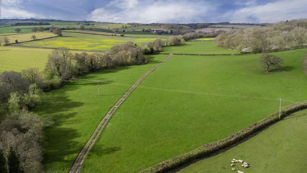 DJI 0325.jpg