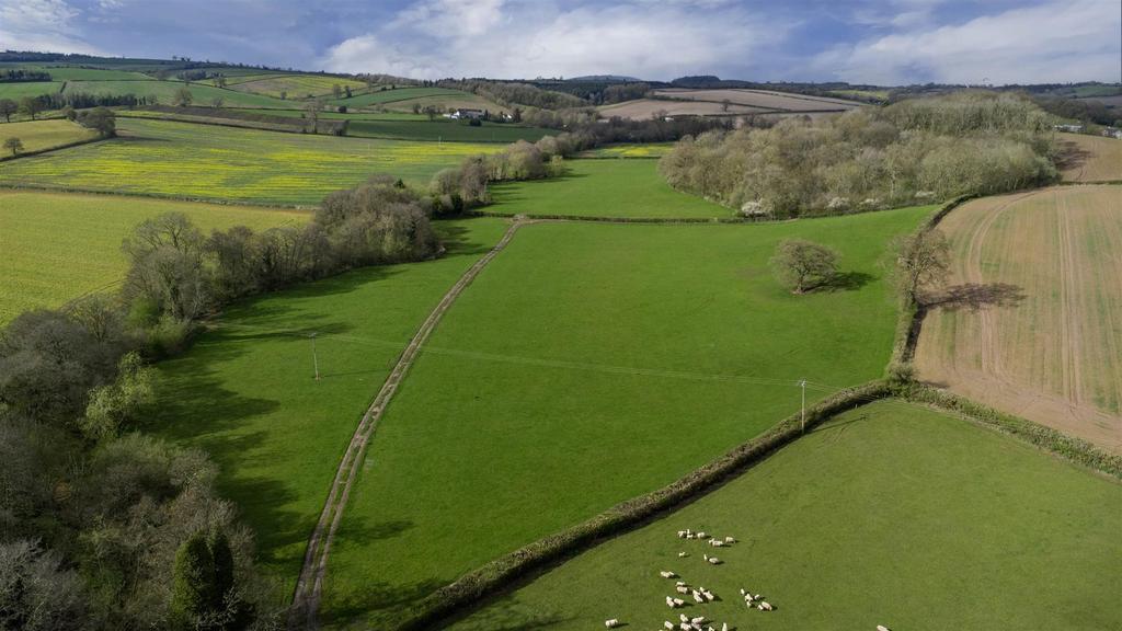DJI 0326.jpg