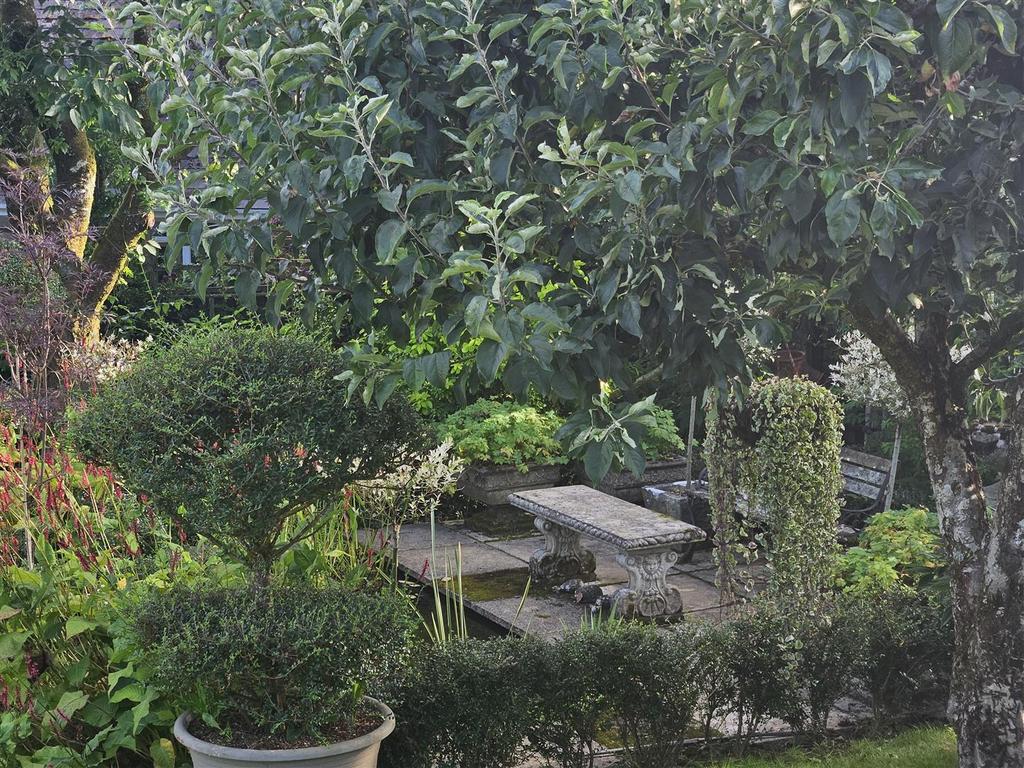View of Pond Area.jpg