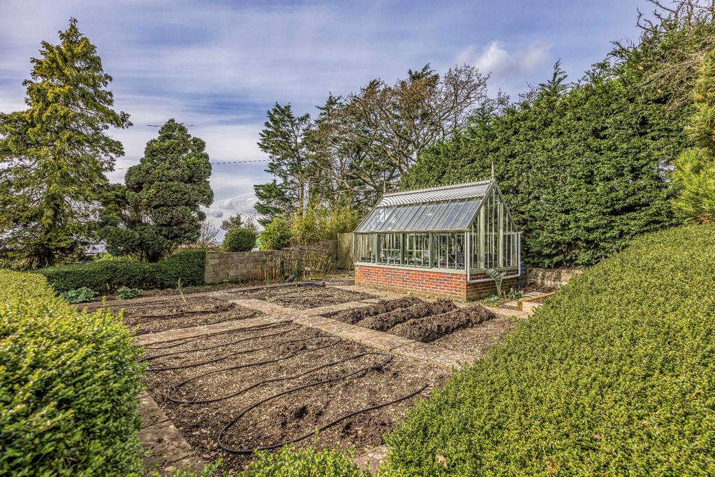 Vegtable/fruit garden