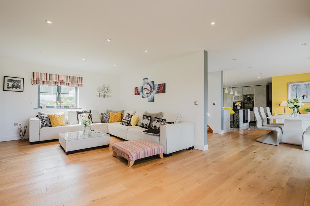 Lounge/kitchen/dining room