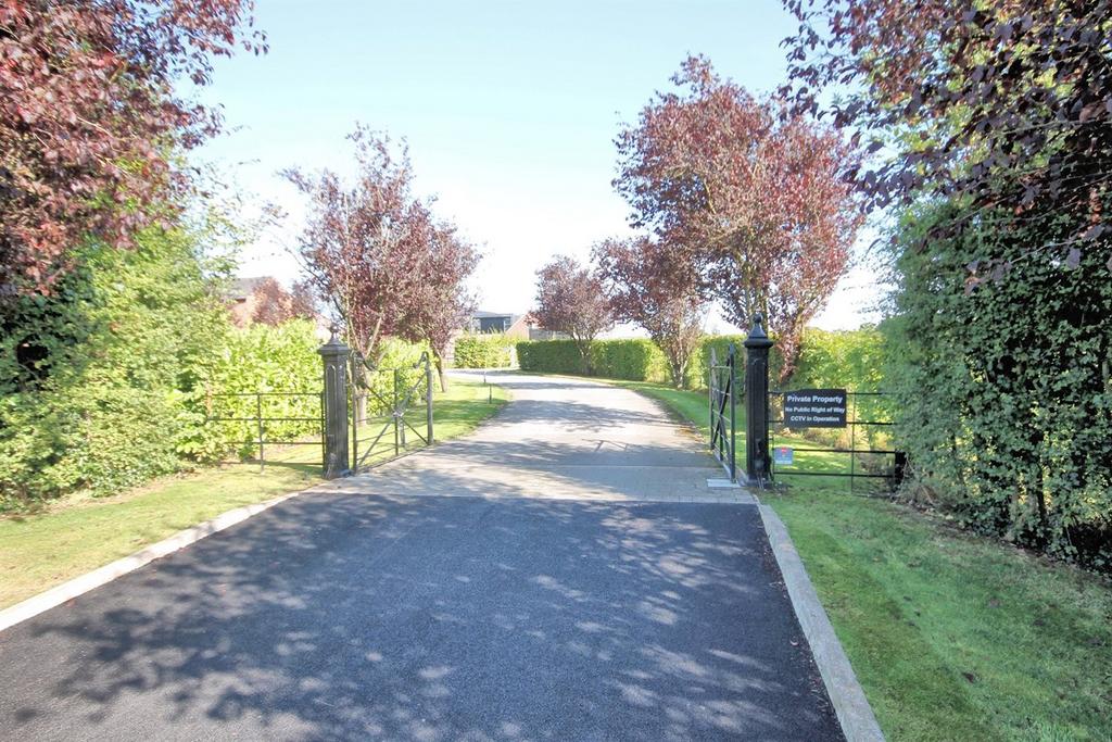 Driveway