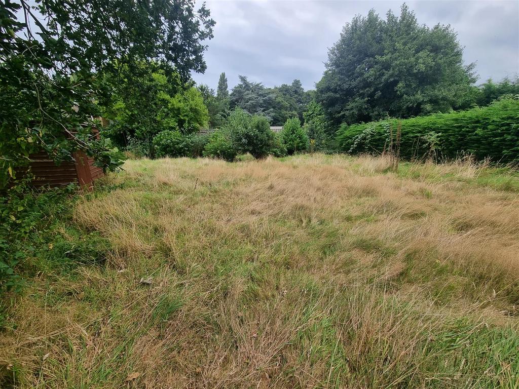 Garden 2