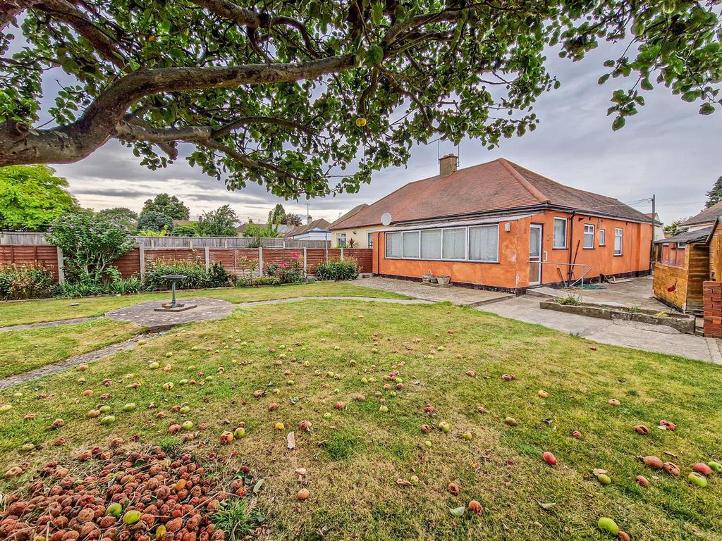 South facing garden