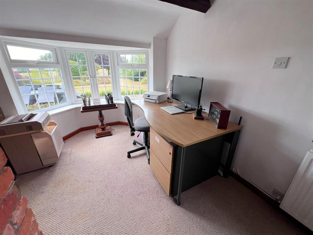 Study Area