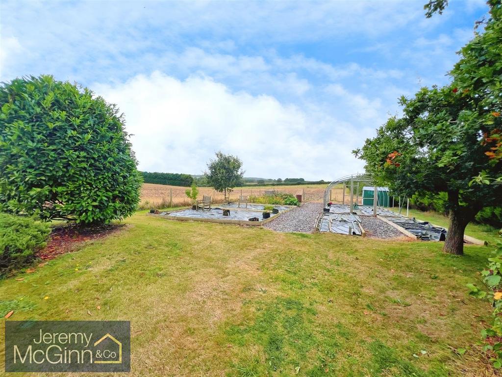 Vegetable Garden