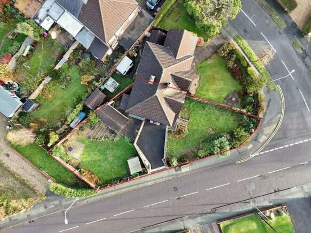 Plot view