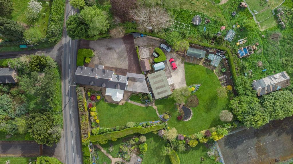 Drone above plot