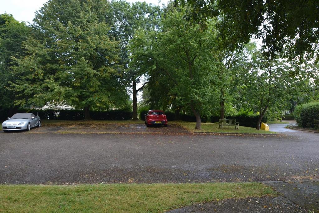 Parking Area.JPG