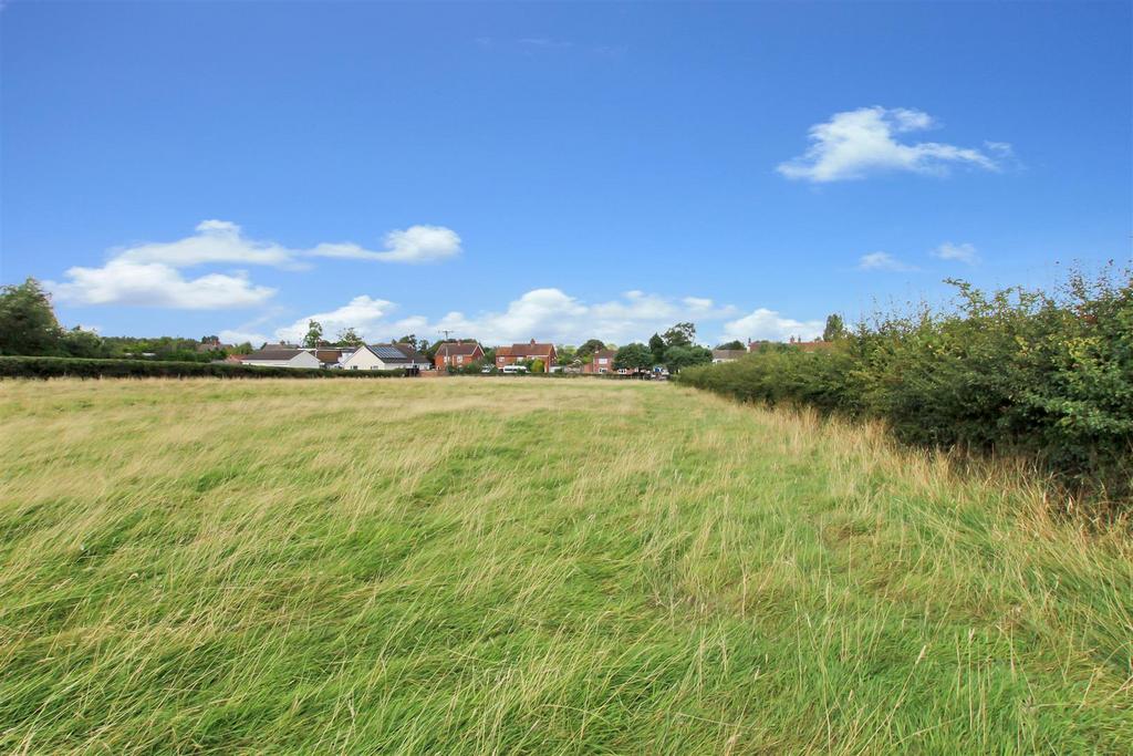 Land - f.JPG