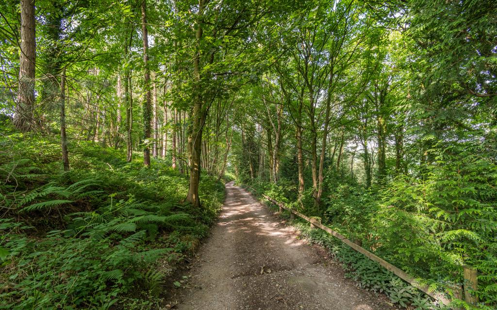 Path