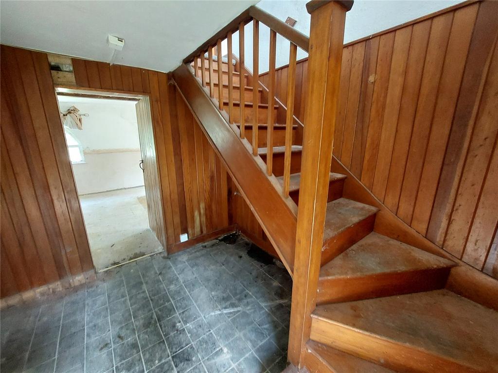 Picture 5
