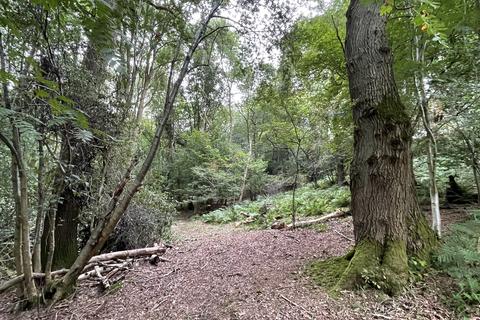 Woodland for sale, Buildwas Bypass, Ironbridge TF8