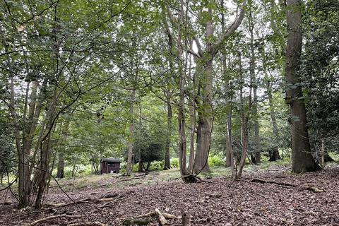 Woodland for sale, Buildwas Bypass, Ironbridge TF8