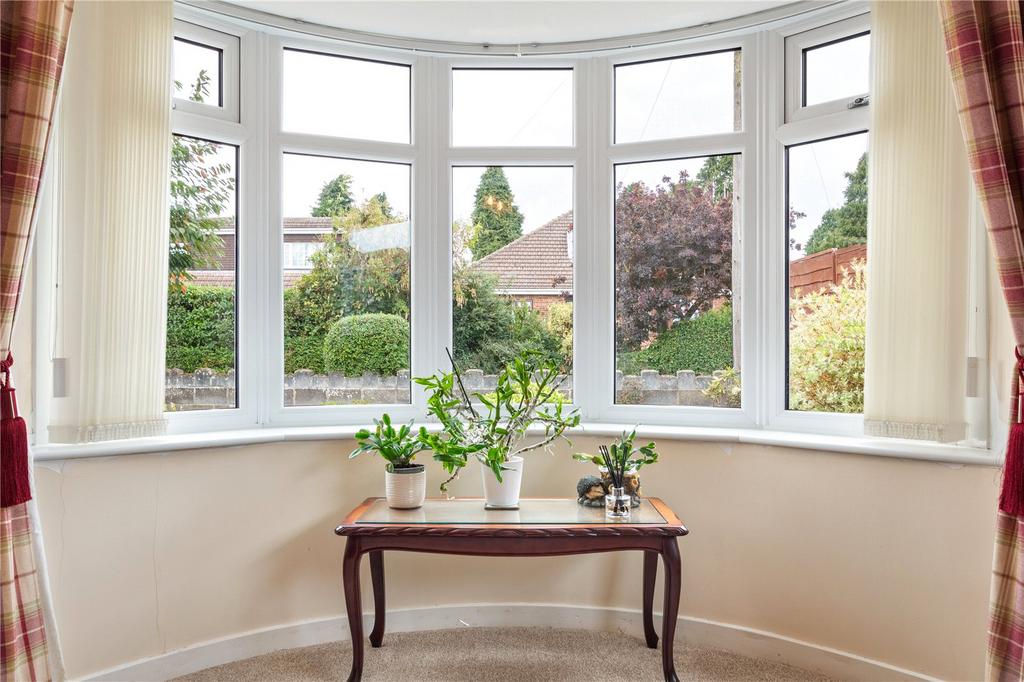 Window