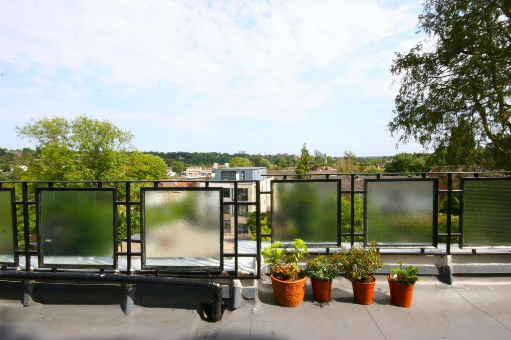 Roof terrace1.JPG