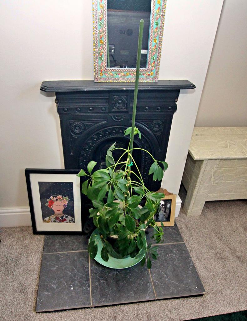 Cast Iron Fire Place