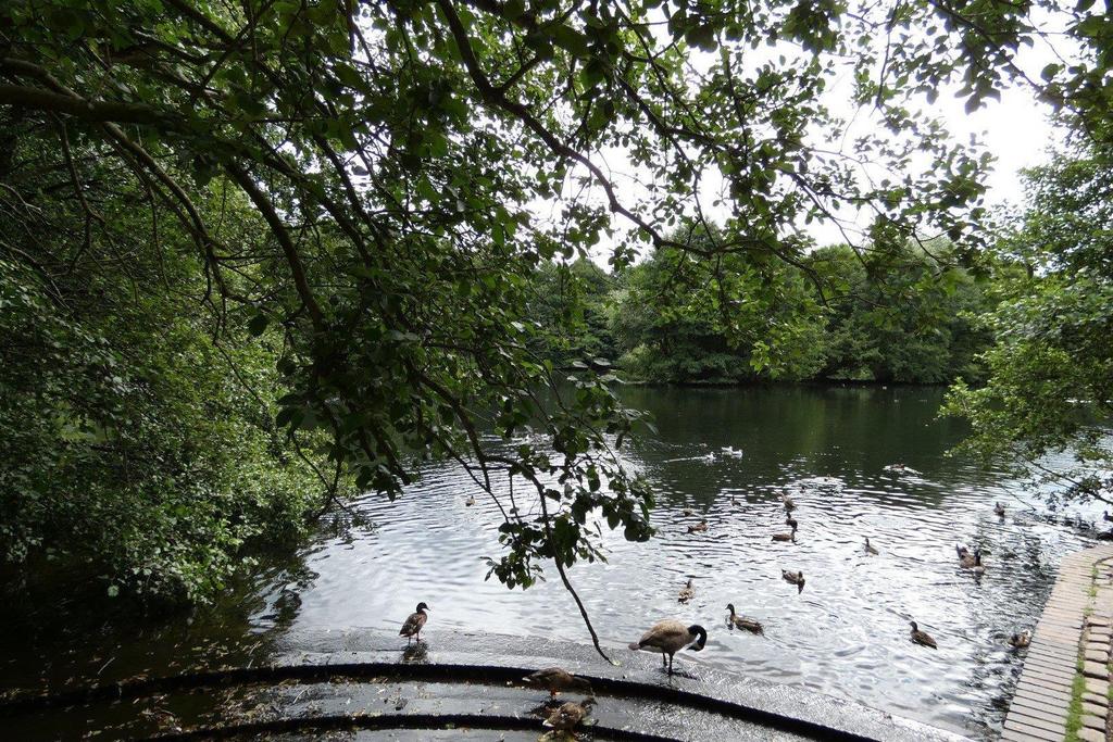 Nature reserve4.jpg
