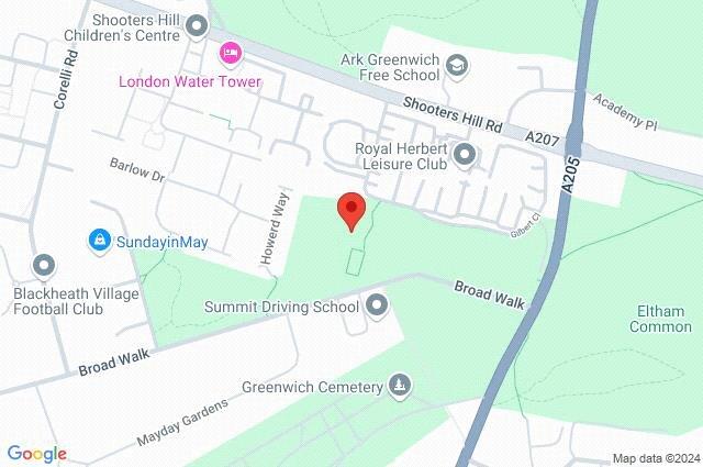 Google Maps Image