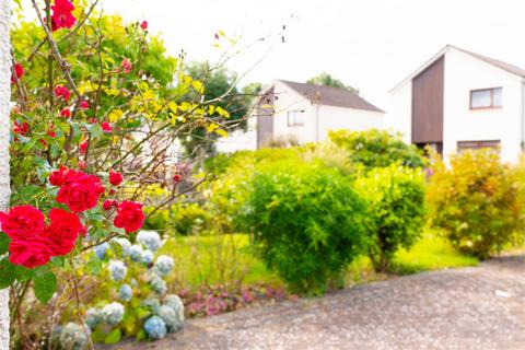 2 bedroom semi-detached bungalow for sale, Cedar Avenue, Blairgowrie